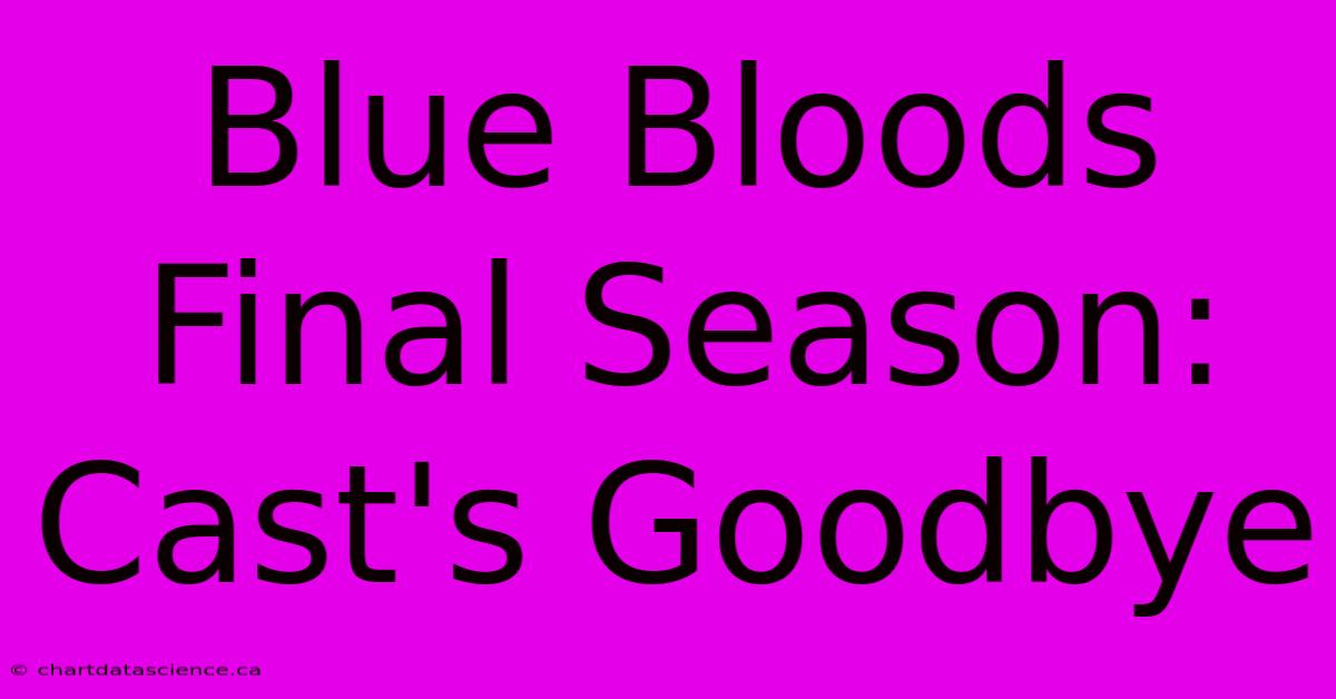 Blue Bloods Final Season: Cast's Goodbye