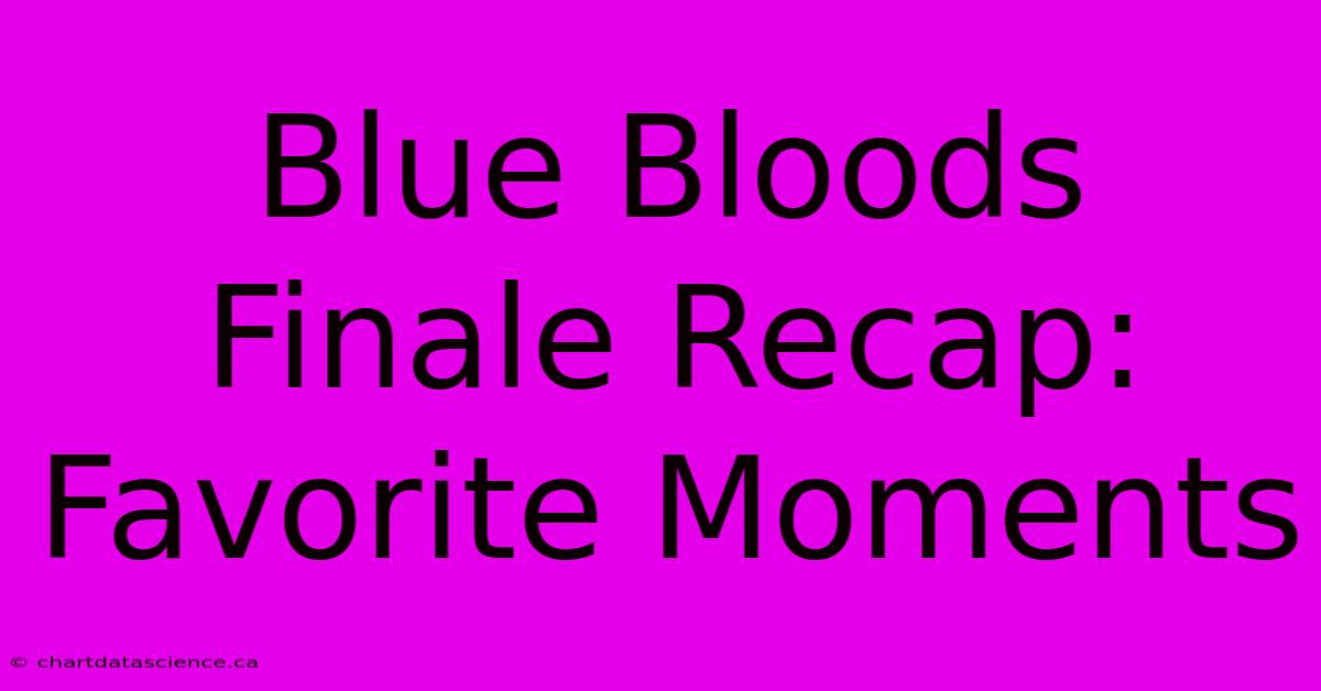 Blue Bloods Finale Recap: Favorite Moments