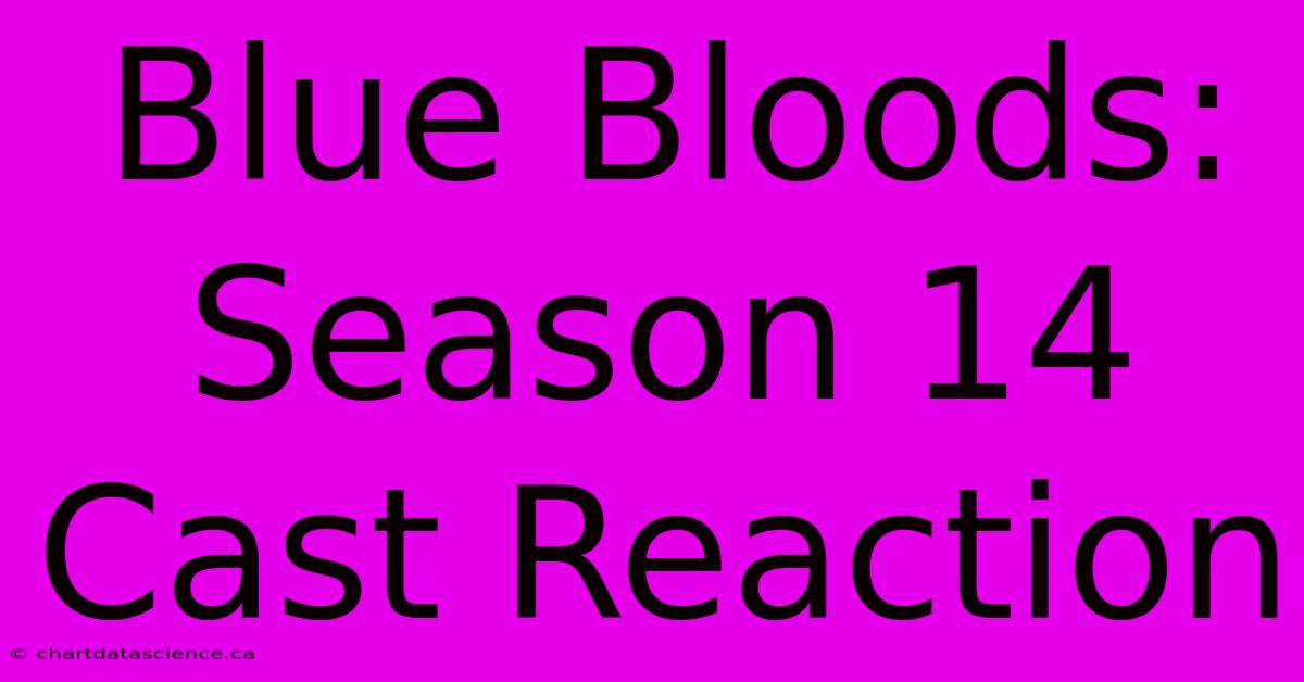 Blue Bloods: Season 14 Cast Reaction