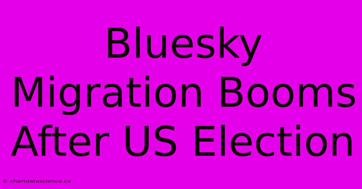 Bluesky Migration Booms After US Election