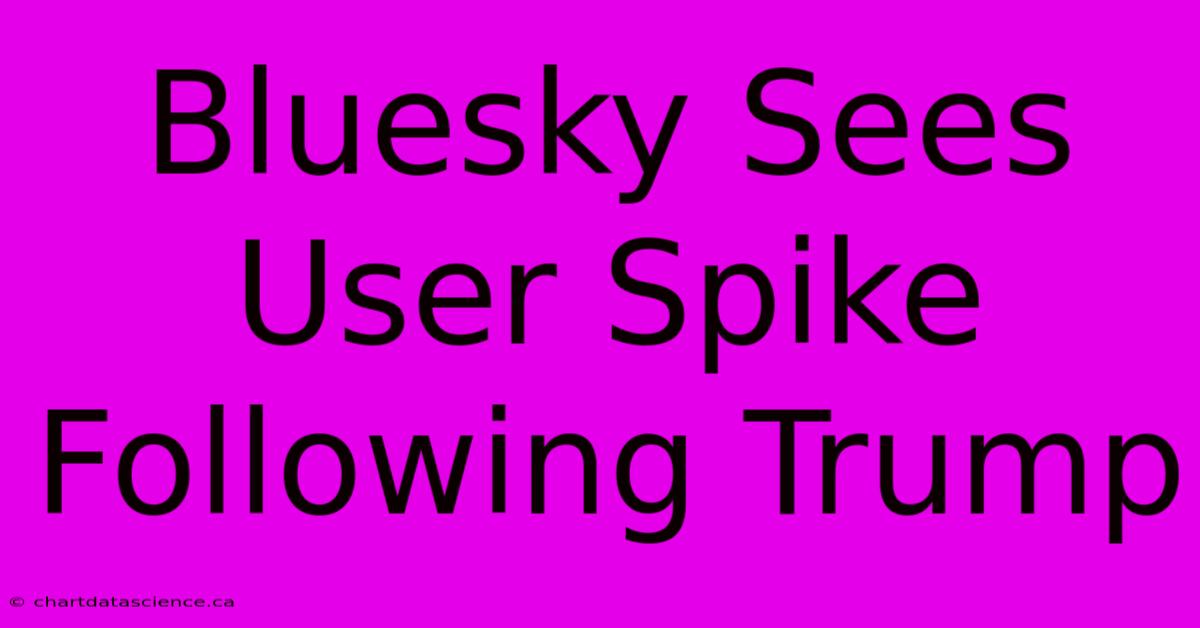 Bluesky Sees User Spike Following Trump 