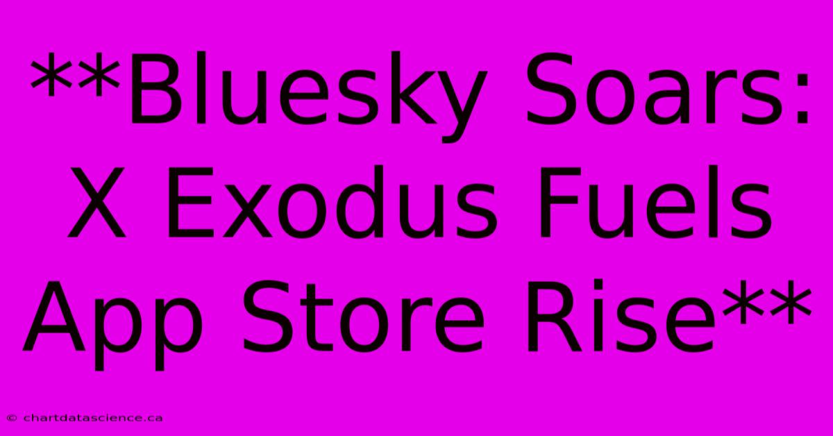 **Bluesky Soars: X Exodus Fuels App Store Rise**