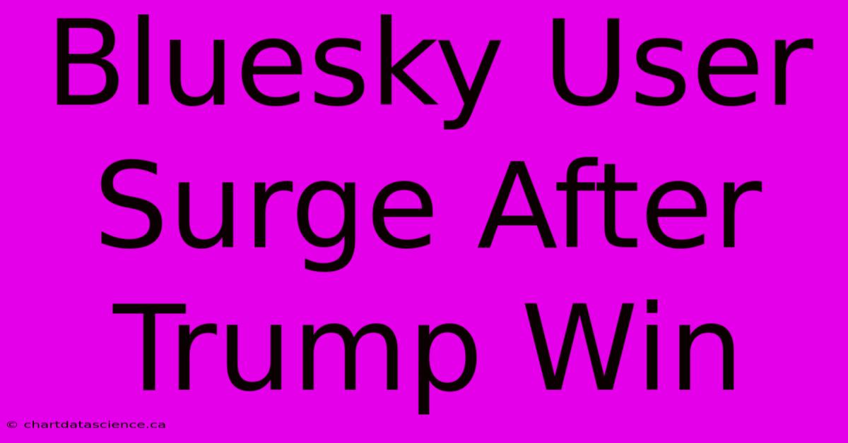 Bluesky User Surge After Trump Win