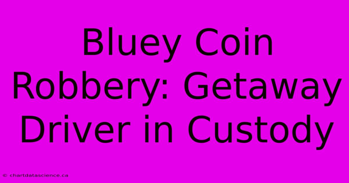 Bluey Coin Robbery: Getaway Driver In Custody 