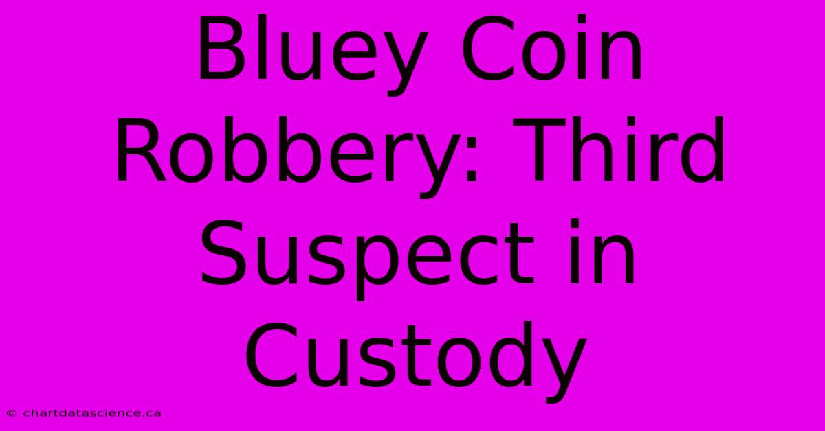 Bluey Coin Robbery: Third Suspect In Custody 