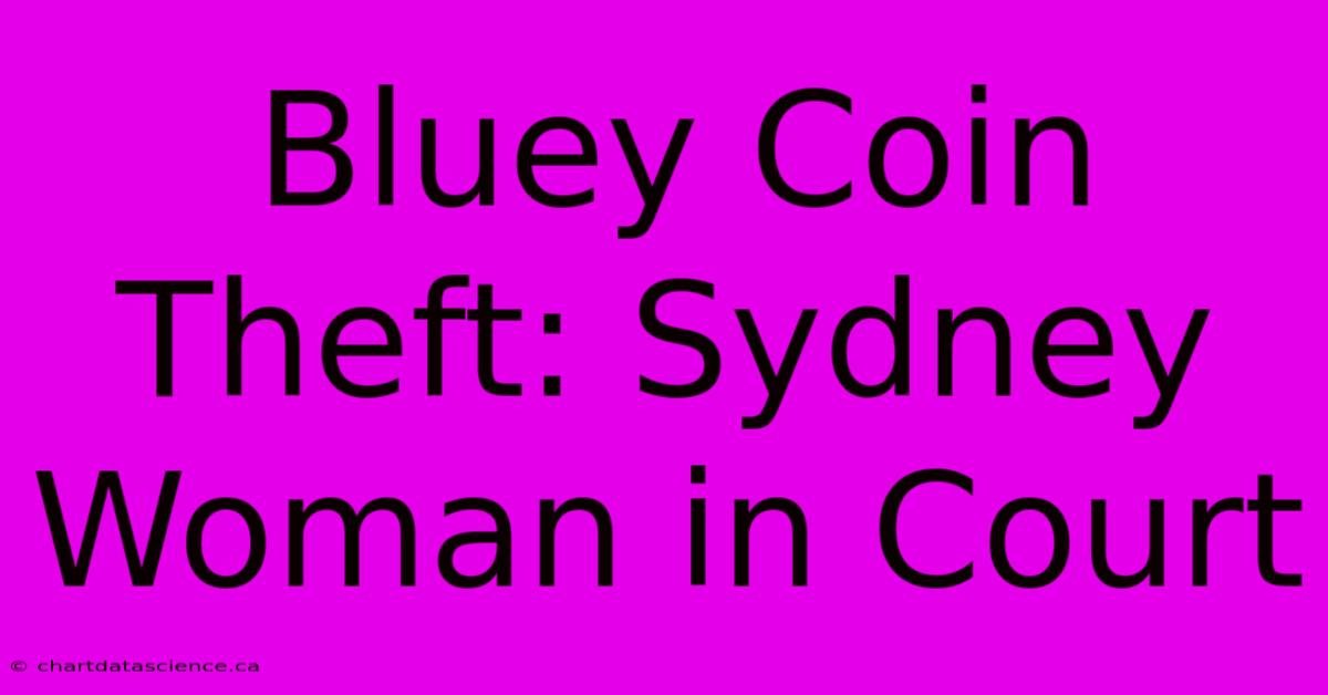 Bluey Coin Theft: Sydney Woman In Court 