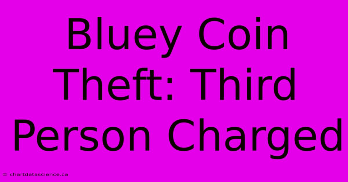 Bluey Coin Theft: Third Person Charged