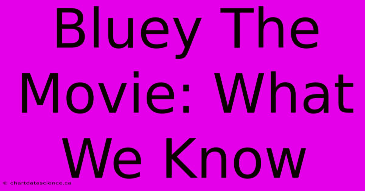 Bluey The Movie: What We Know