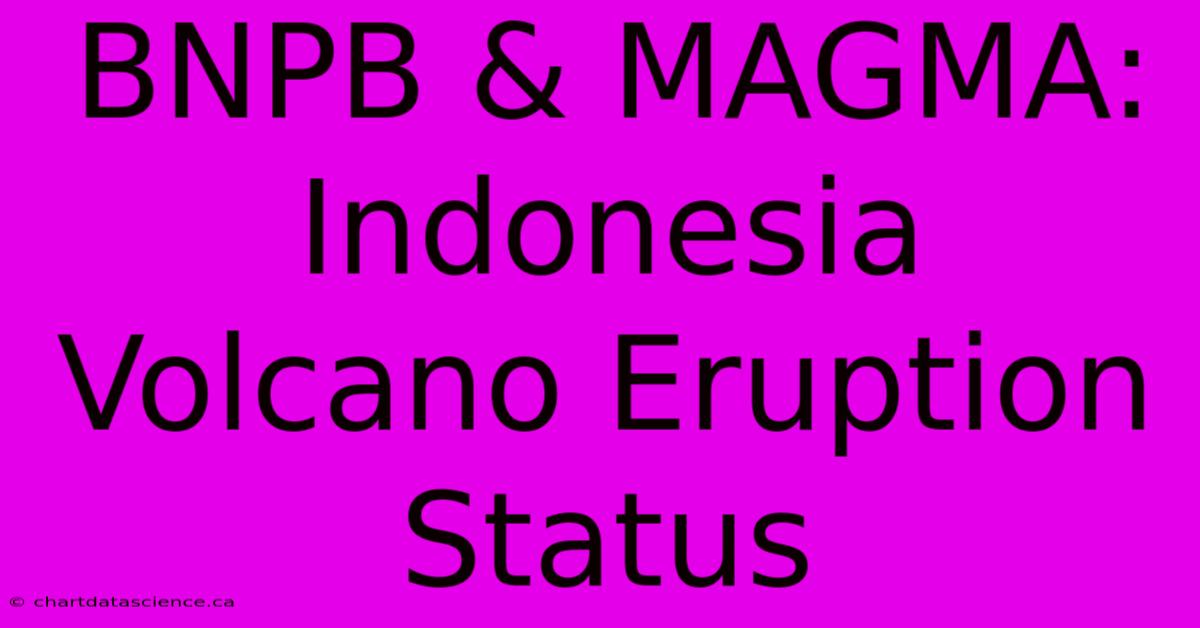 BNPB & MAGMA: Indonesia Volcano Eruption Status 