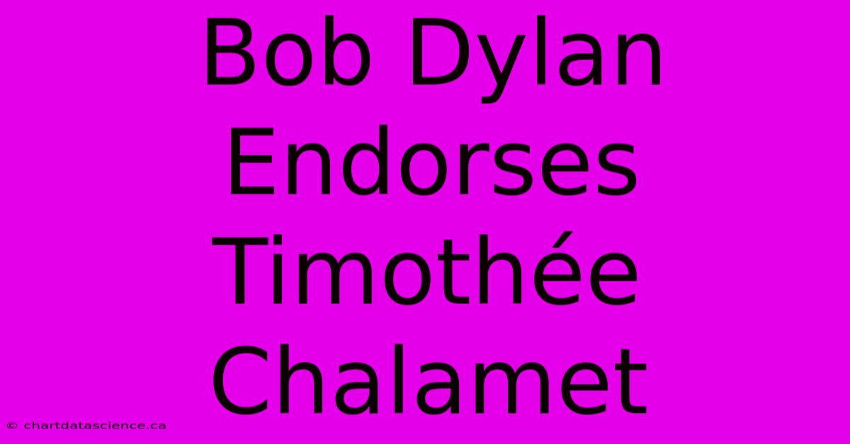 Bob Dylan Endorses Timothée Chalamet