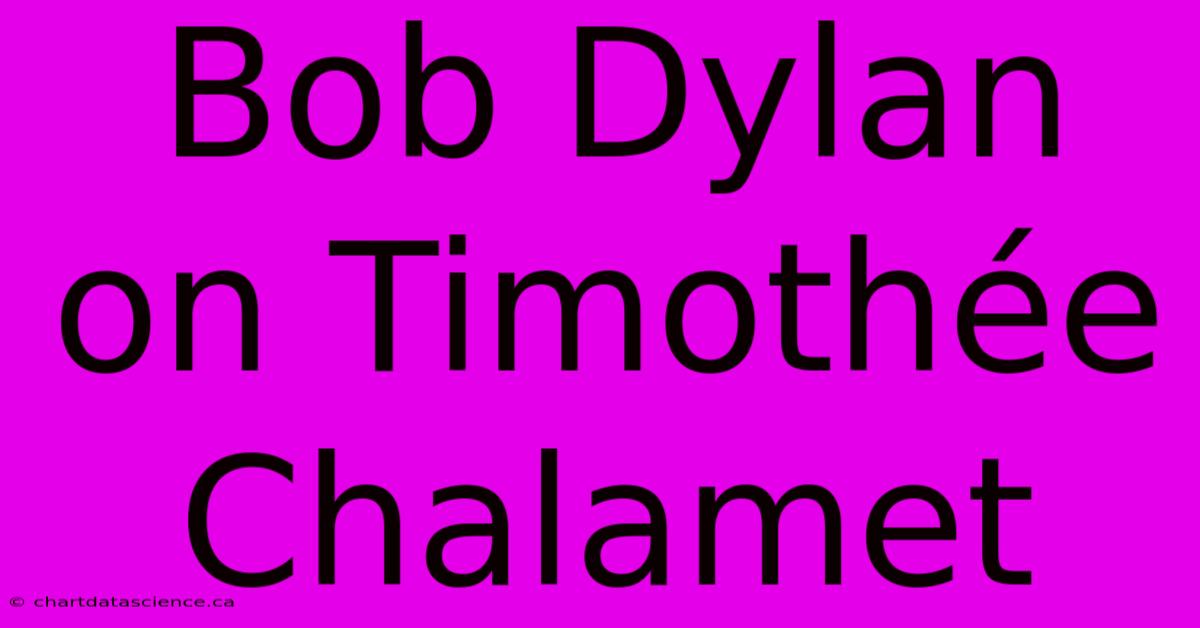 Bob Dylan On Timothée Chalamet