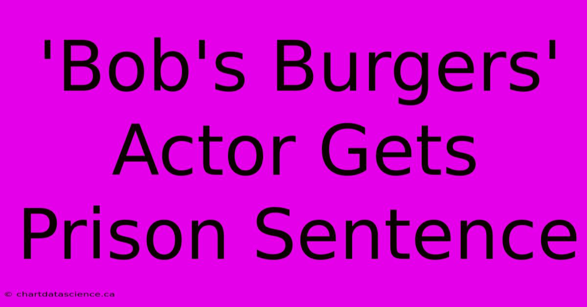 'Bob's Burgers' Actor Gets Prison Sentence 