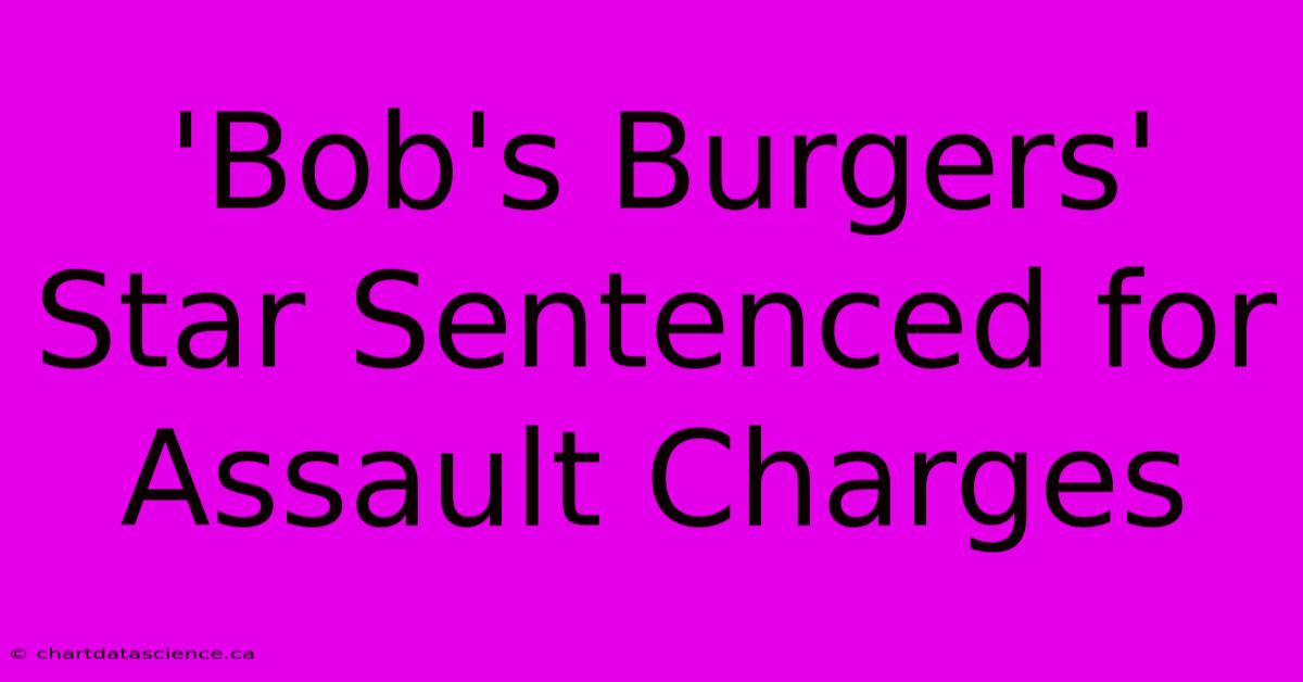 'Bob's Burgers' Star Sentenced For Assault Charges