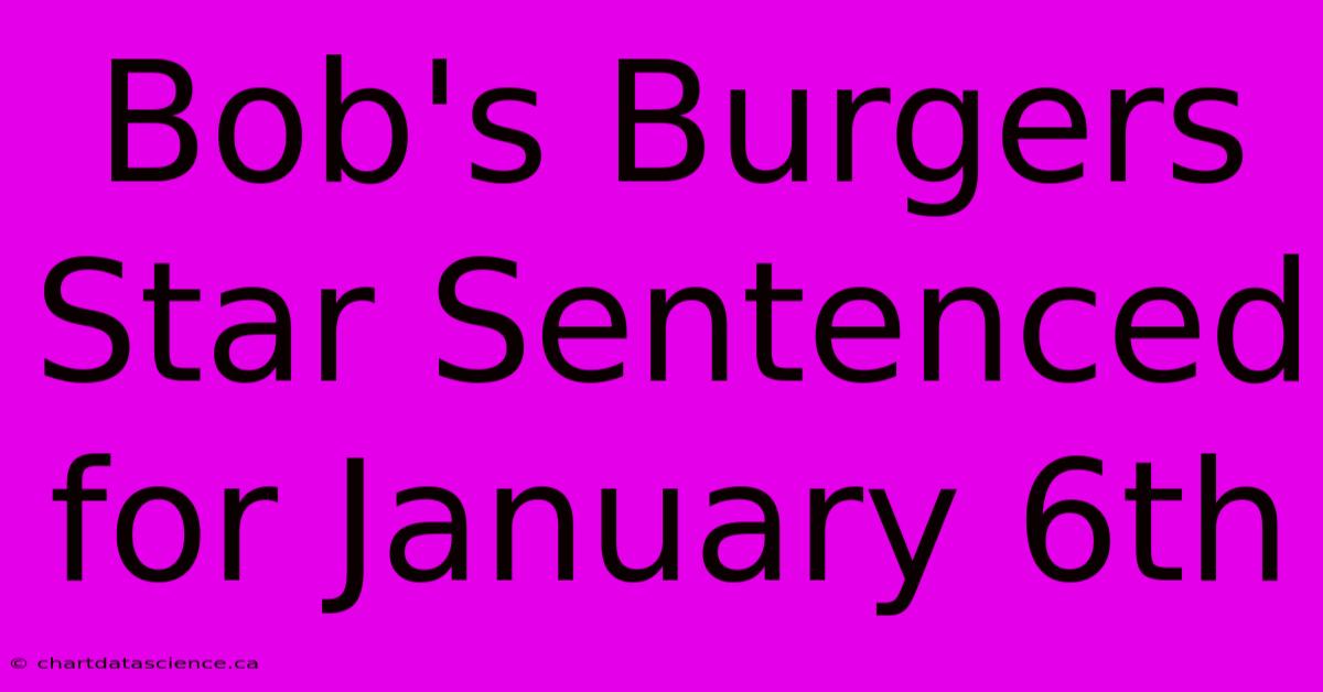 Bob's Burgers Star Sentenced For January 6th