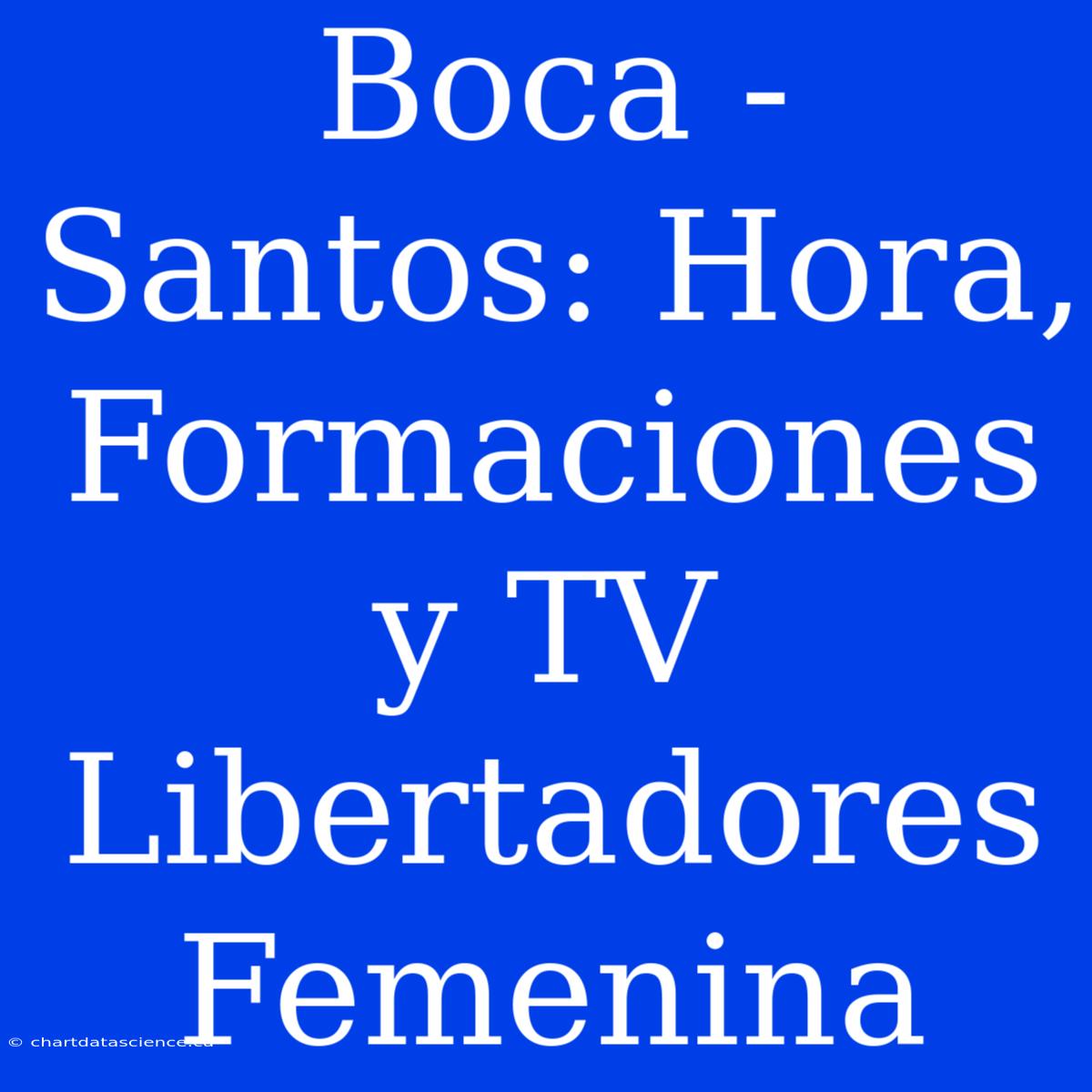 Boca - Santos: Hora, Formaciones Y TV Libertadores Femenina