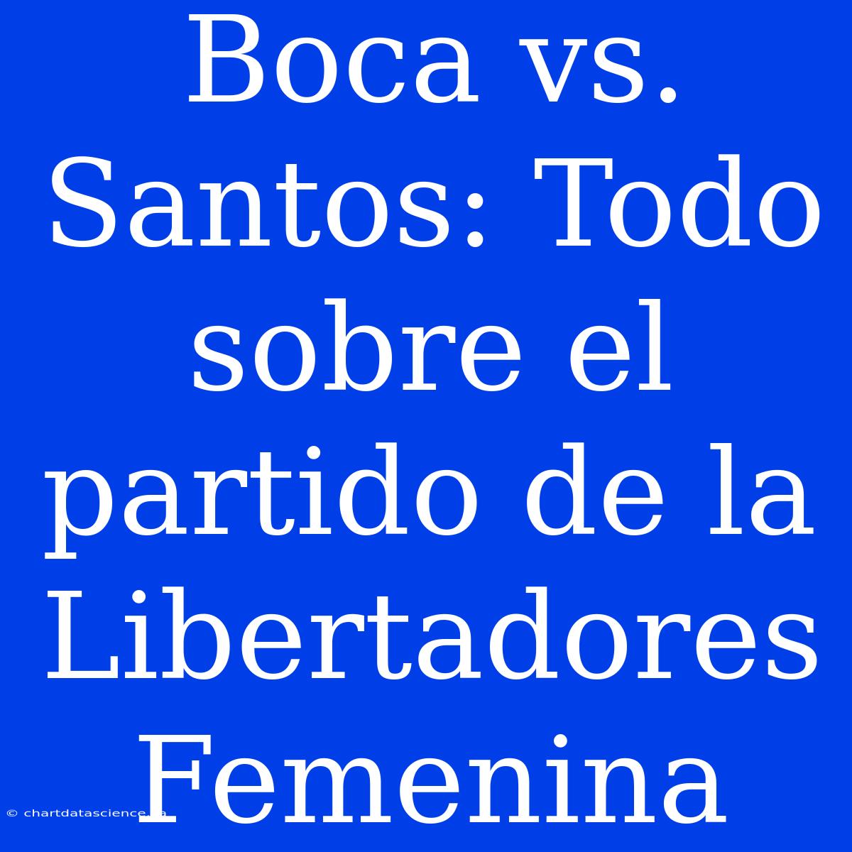 Boca Vs. Santos: Todo Sobre El Partido De La Libertadores Femenina