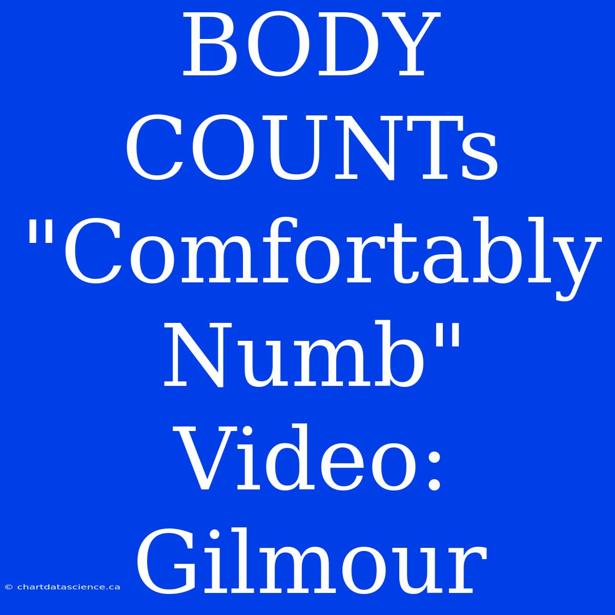 BODY COUNTs 