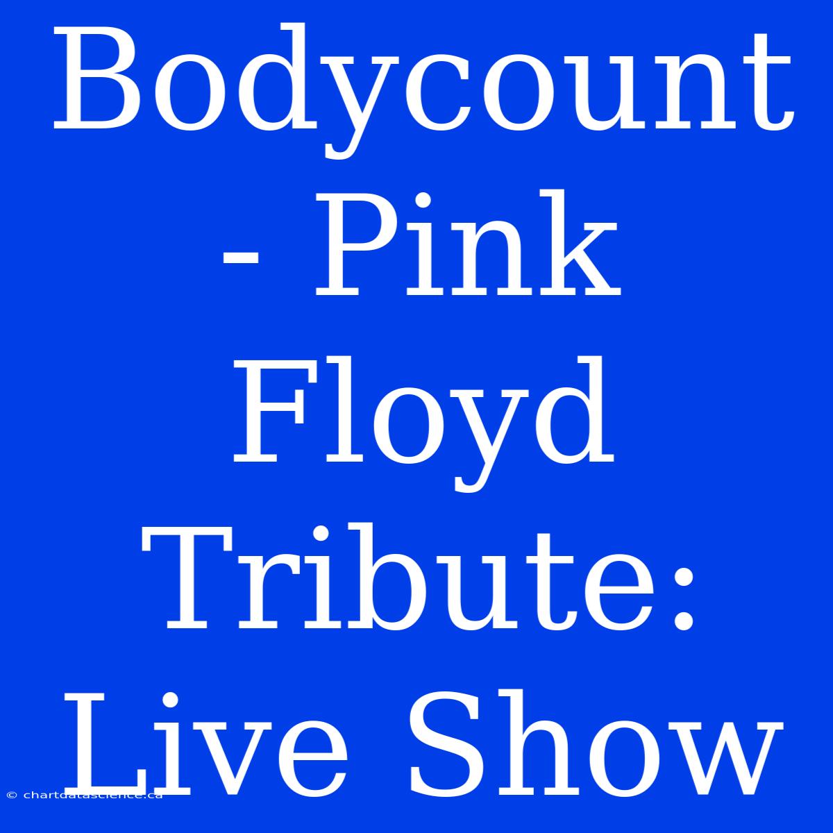 Bodycount - Pink Floyd Tribute: Live Show