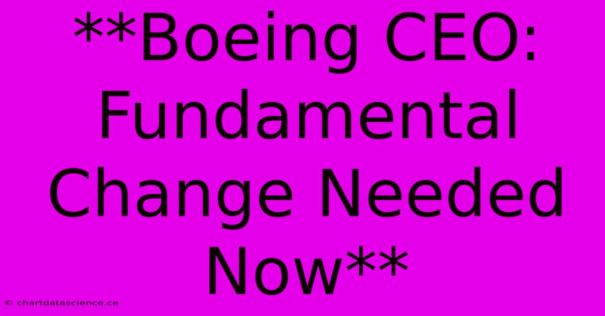 **Boeing CEO: Fundamental Change Needed Now**