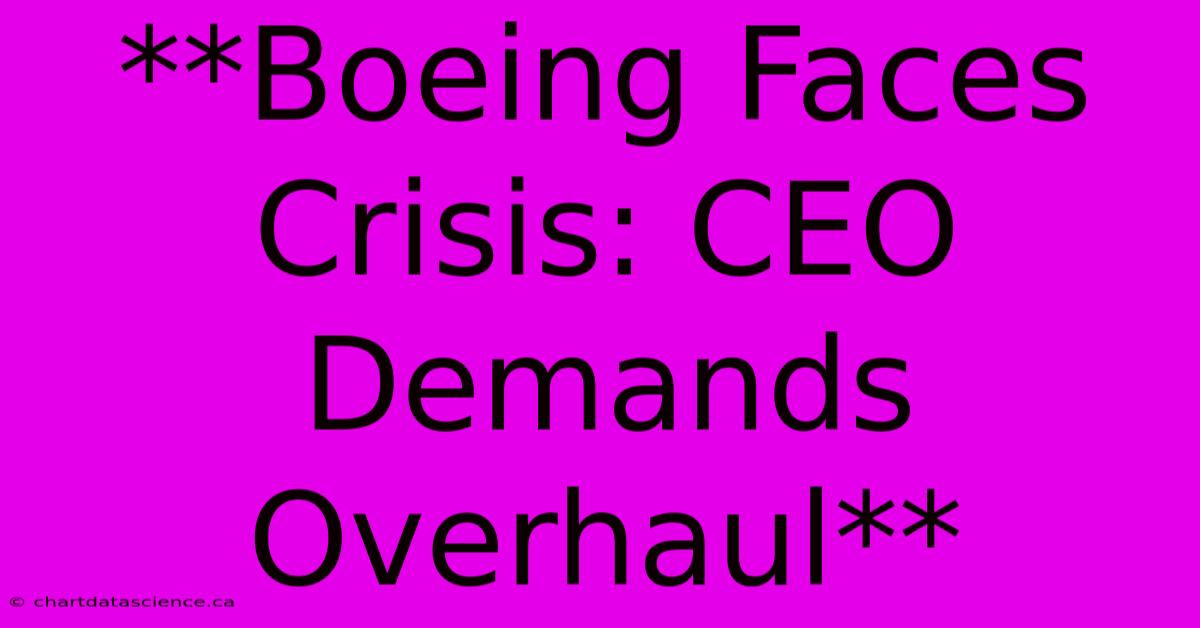 **Boeing Faces Crisis: CEO Demands Overhaul**