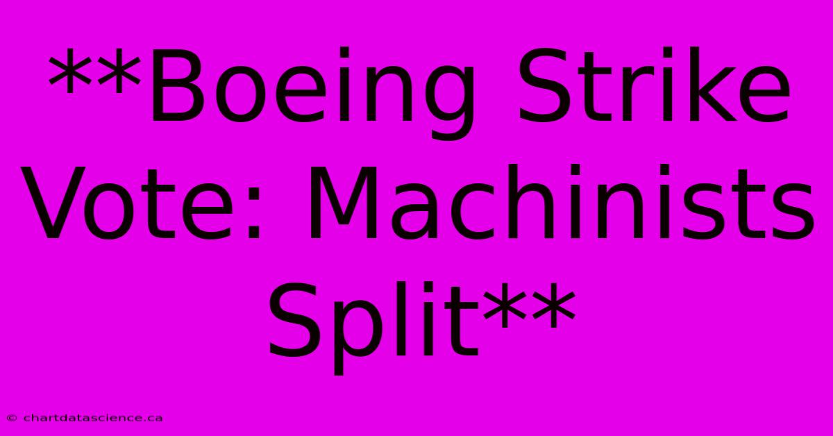 **Boeing Strike Vote: Machinists Split**