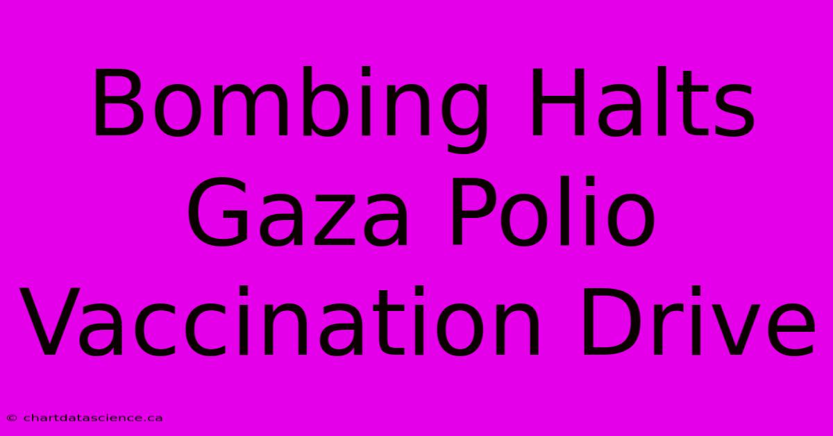 Bombing Halts Gaza Polio Vaccination Drive