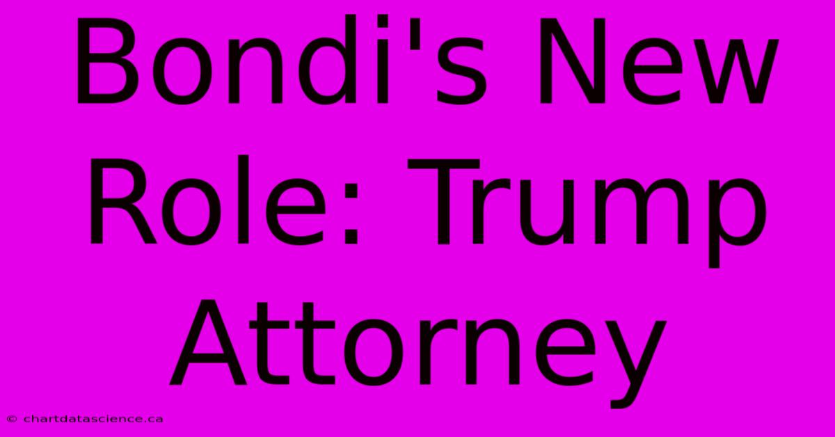 Bondi's New Role: Trump Attorney