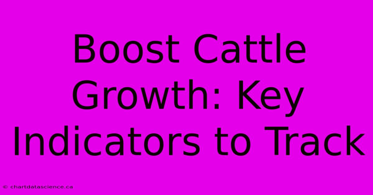 Boost Cattle Growth: Key Indicators To Track