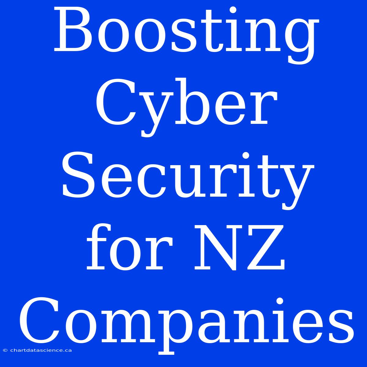 Boosting Cyber Security For NZ Companies