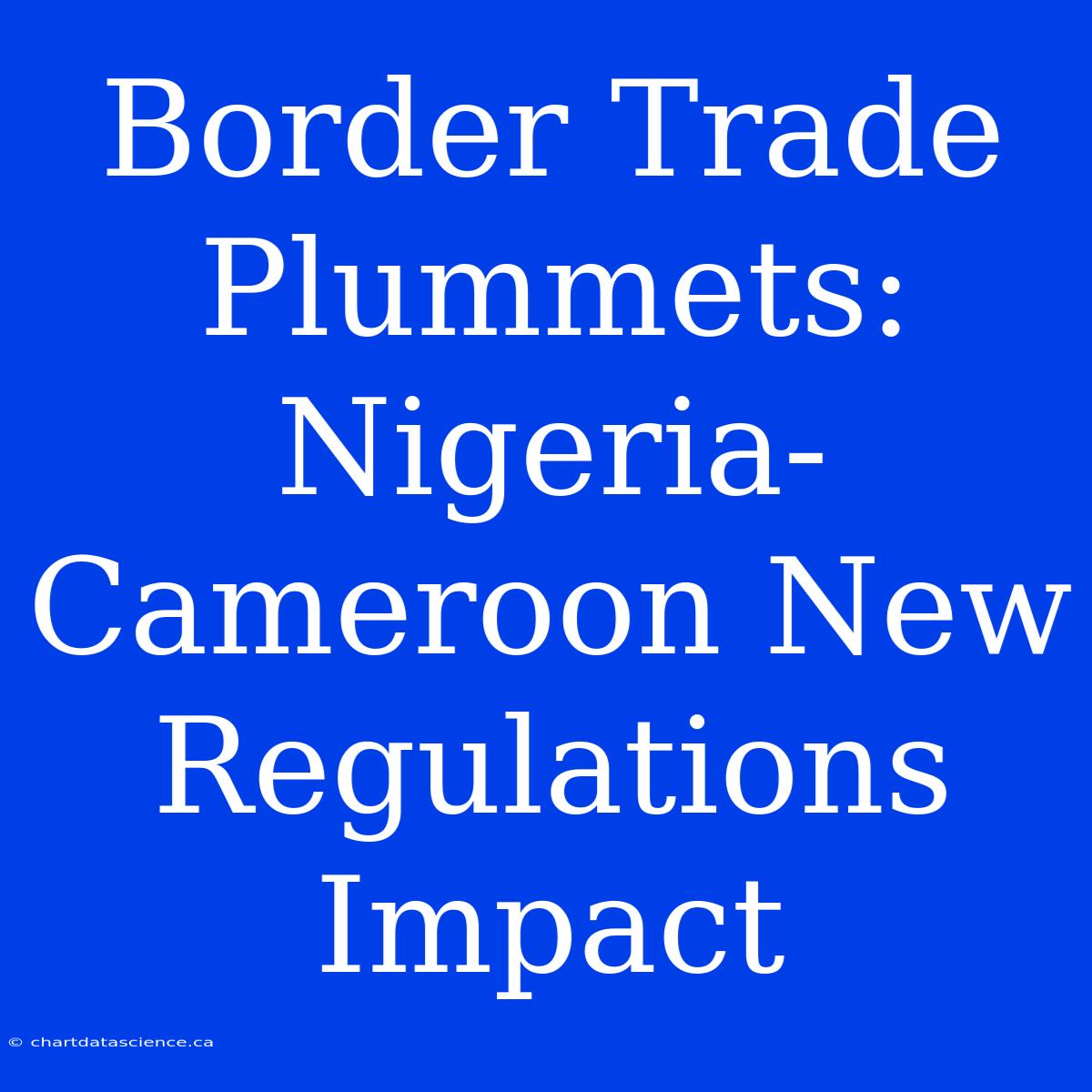 Border Trade Plummets: Nigeria-Cameroon New Regulations Impact