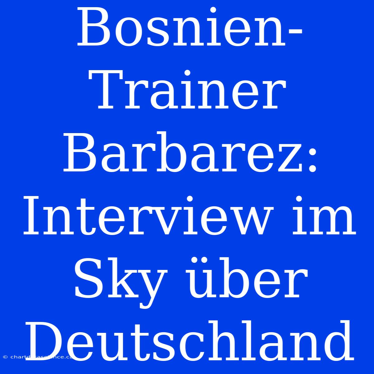 Bosnien-Trainer Barbarez: Interview Im Sky Über Deutschland