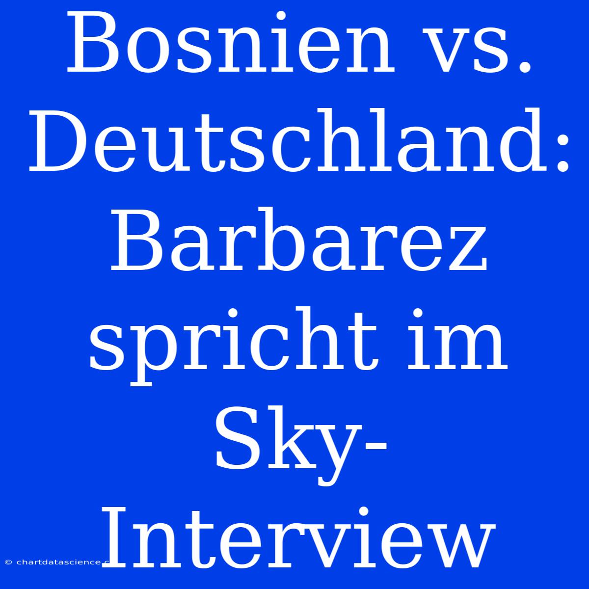 Bosnien Vs. Deutschland: Barbarez Spricht Im Sky-Interview