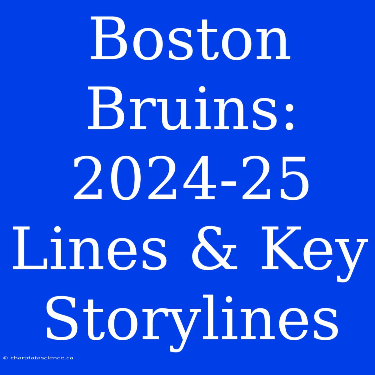 Boston Bruins:  2024-25 Lines & Key Storylines