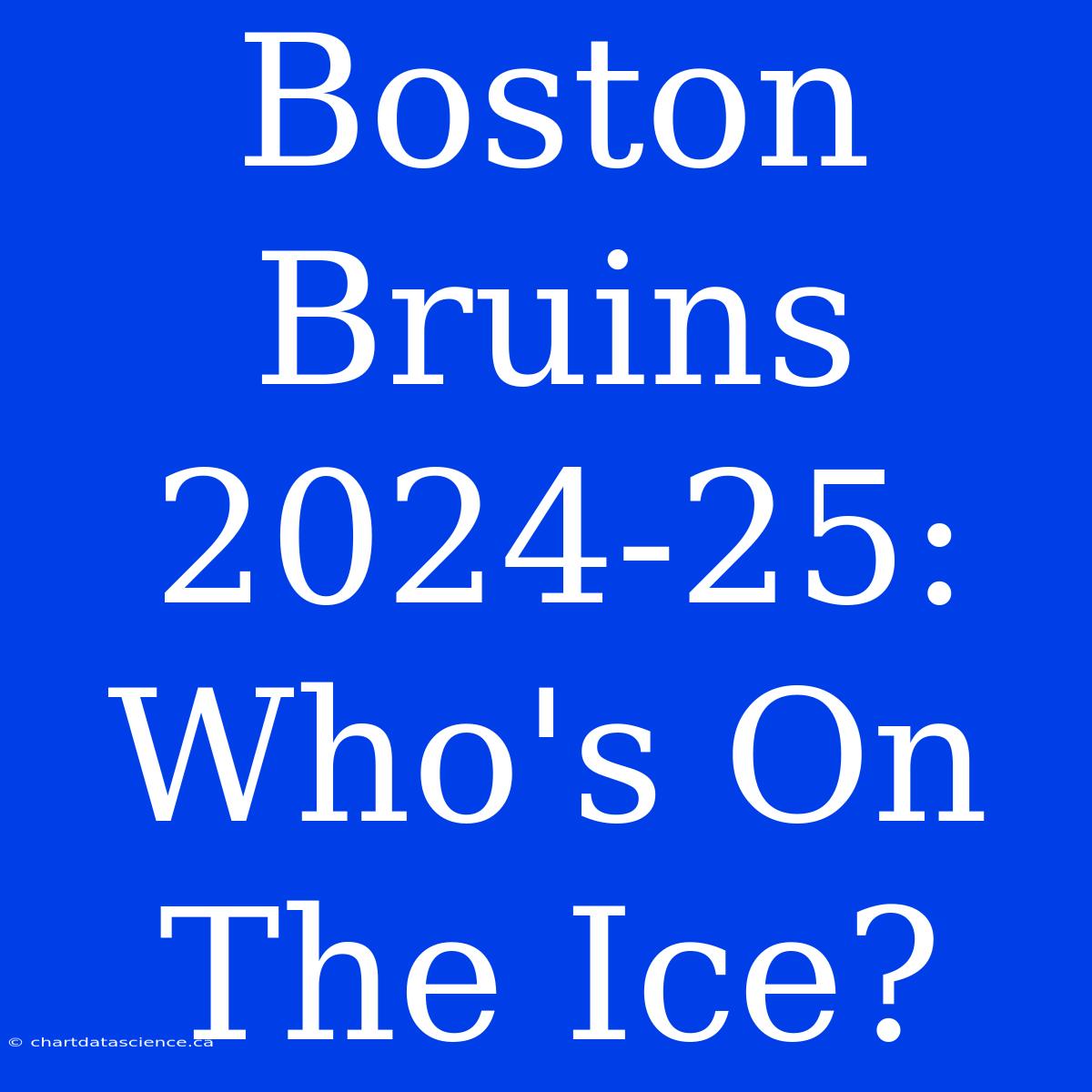 Boston Bruins 2024-25:  Who's On The Ice?