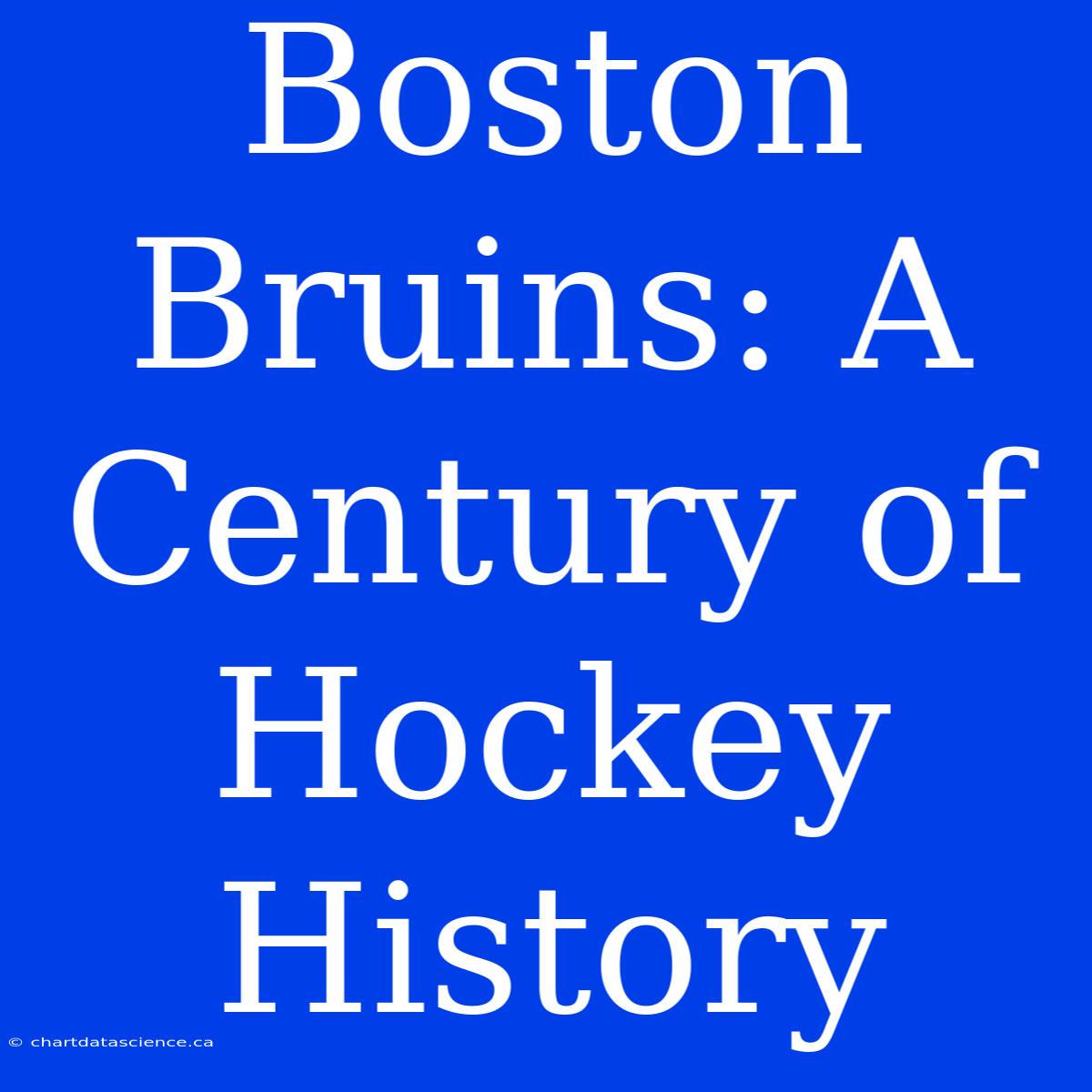 Boston Bruins: A Century Of Hockey History