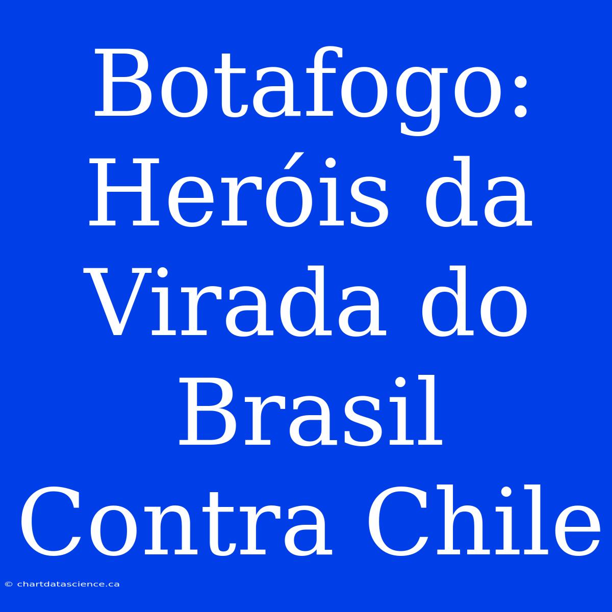 Botafogo: Heróis Da Virada Do Brasil Contra Chile