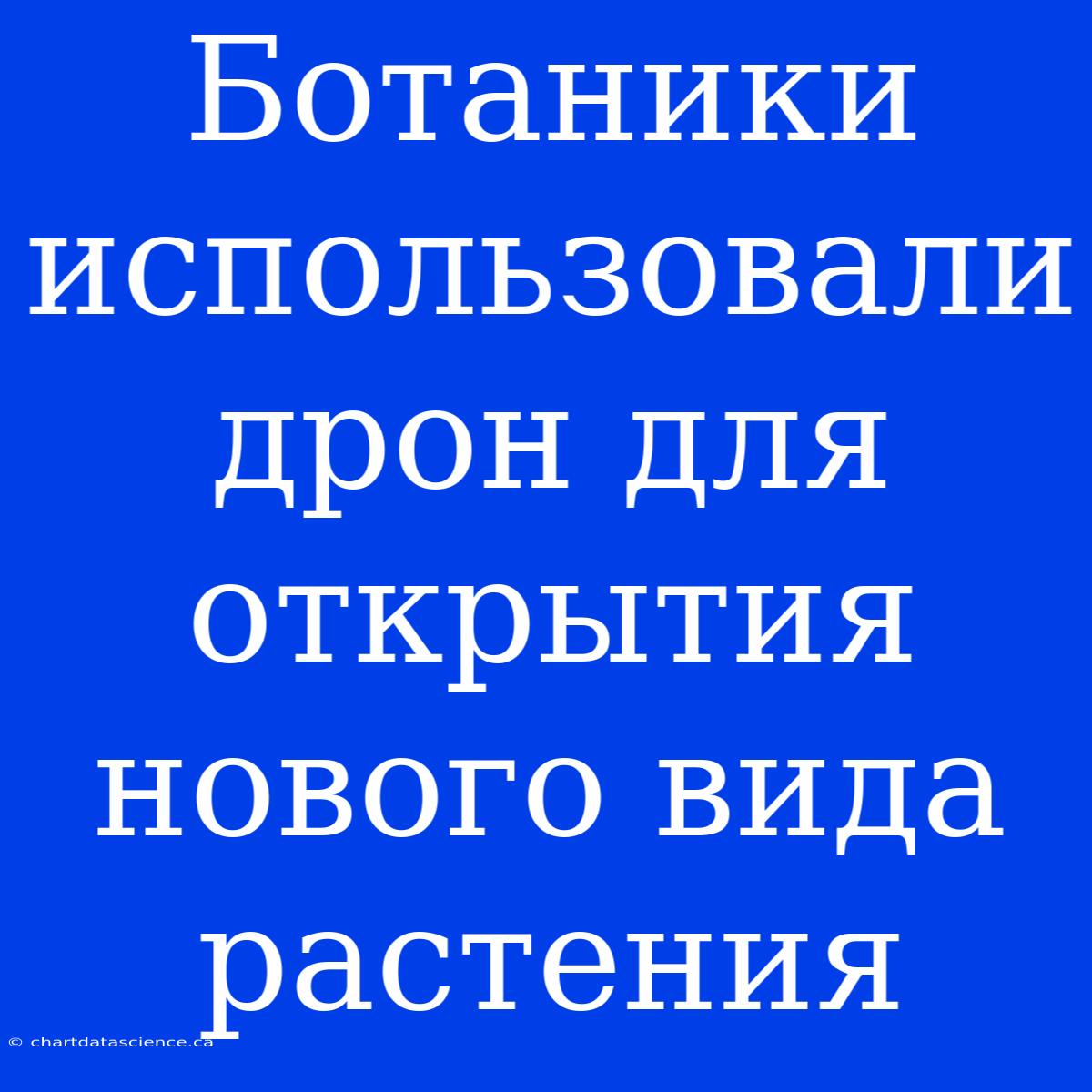 Ботаники Использовали Дрон Для Открытия Нового Вида Растения