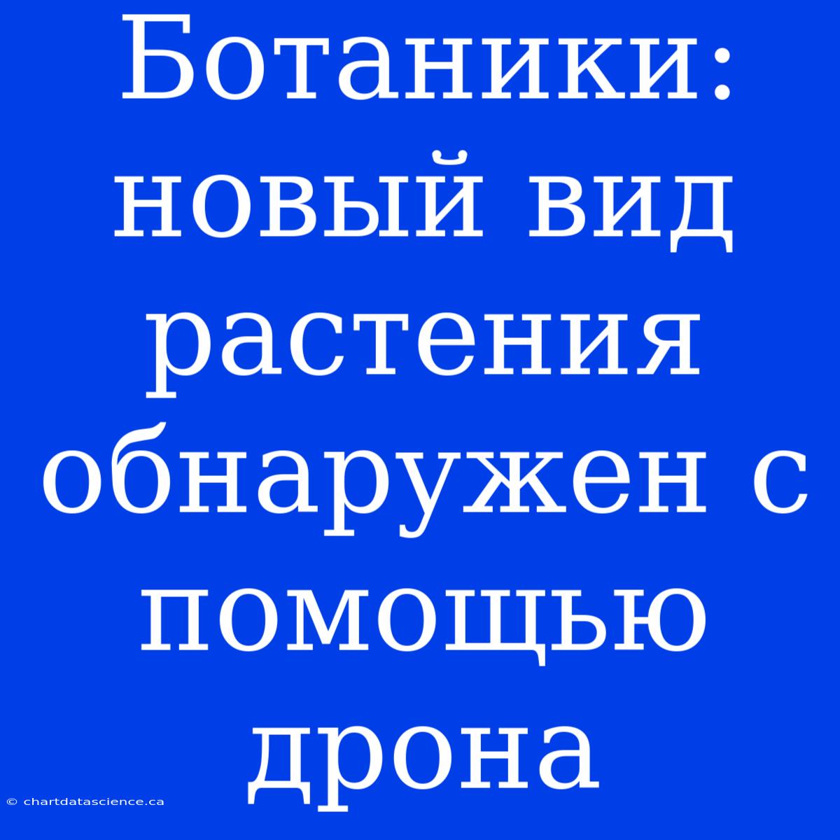 Ботаники: Новый Вид Растения Обнаружен С Помощью Дрона