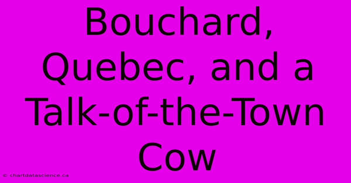 Bouchard, Quebec, And A Talk-of-the-Town Cow 