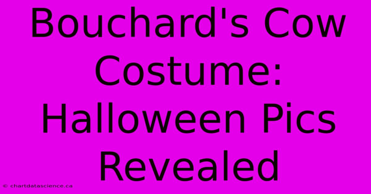 Bouchard's Cow Costume: Halloween Pics Revealed