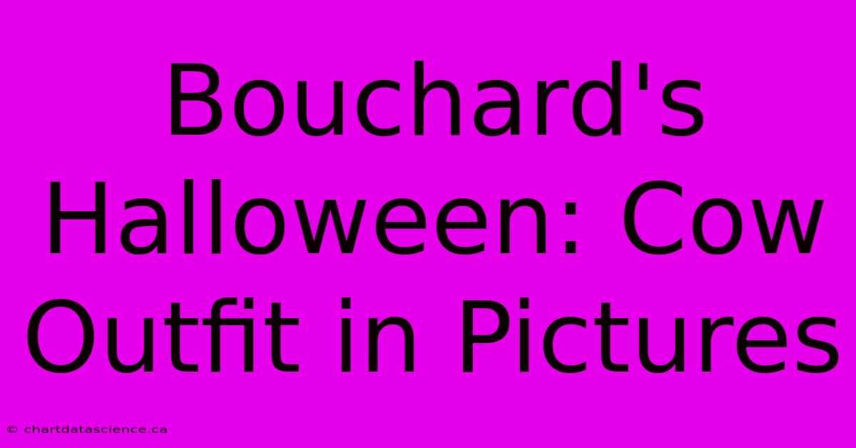 Bouchard's Halloween: Cow Outfit In Pictures