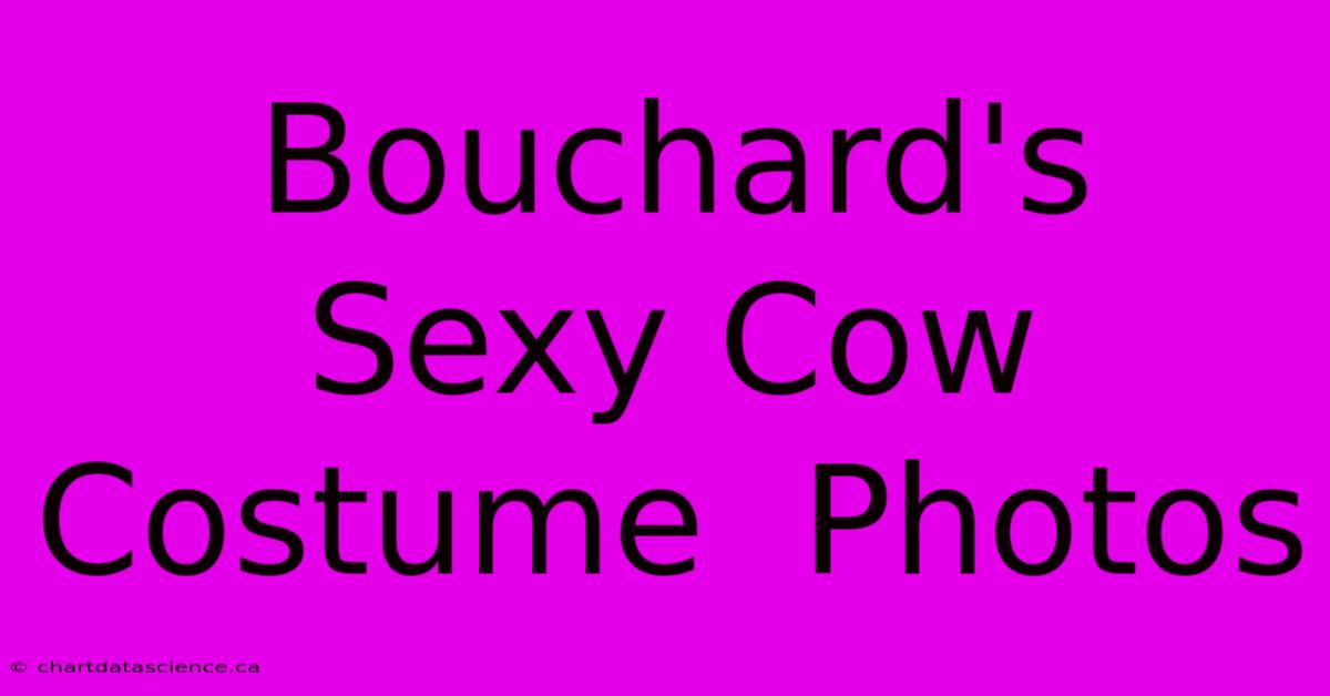 Bouchard's  Sexy Cow Costume  Photos