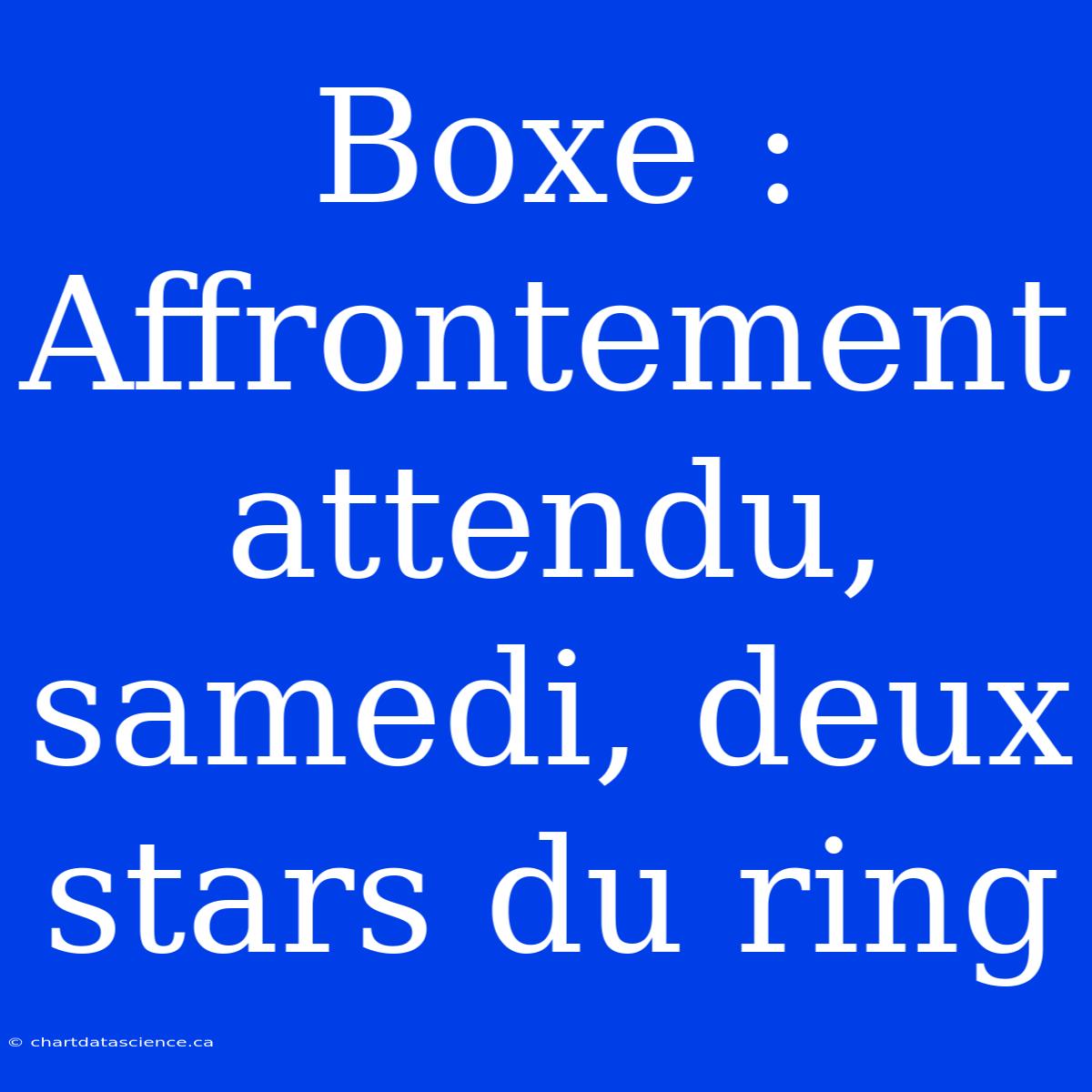 Boxe : Affrontement Attendu, Samedi, Deux Stars Du Ring