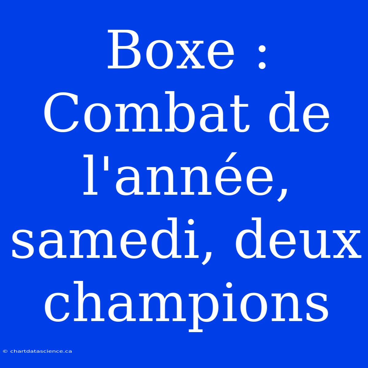 Boxe : Combat De L'année, Samedi, Deux Champions