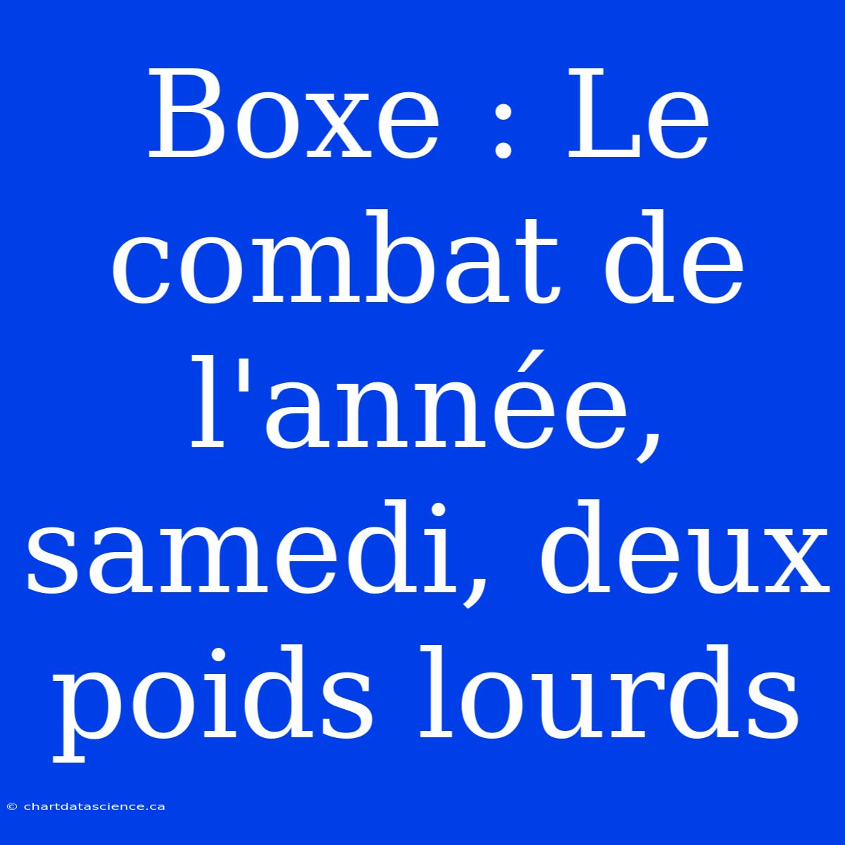 Boxe : Le Combat De L'année, Samedi, Deux Poids Lourds