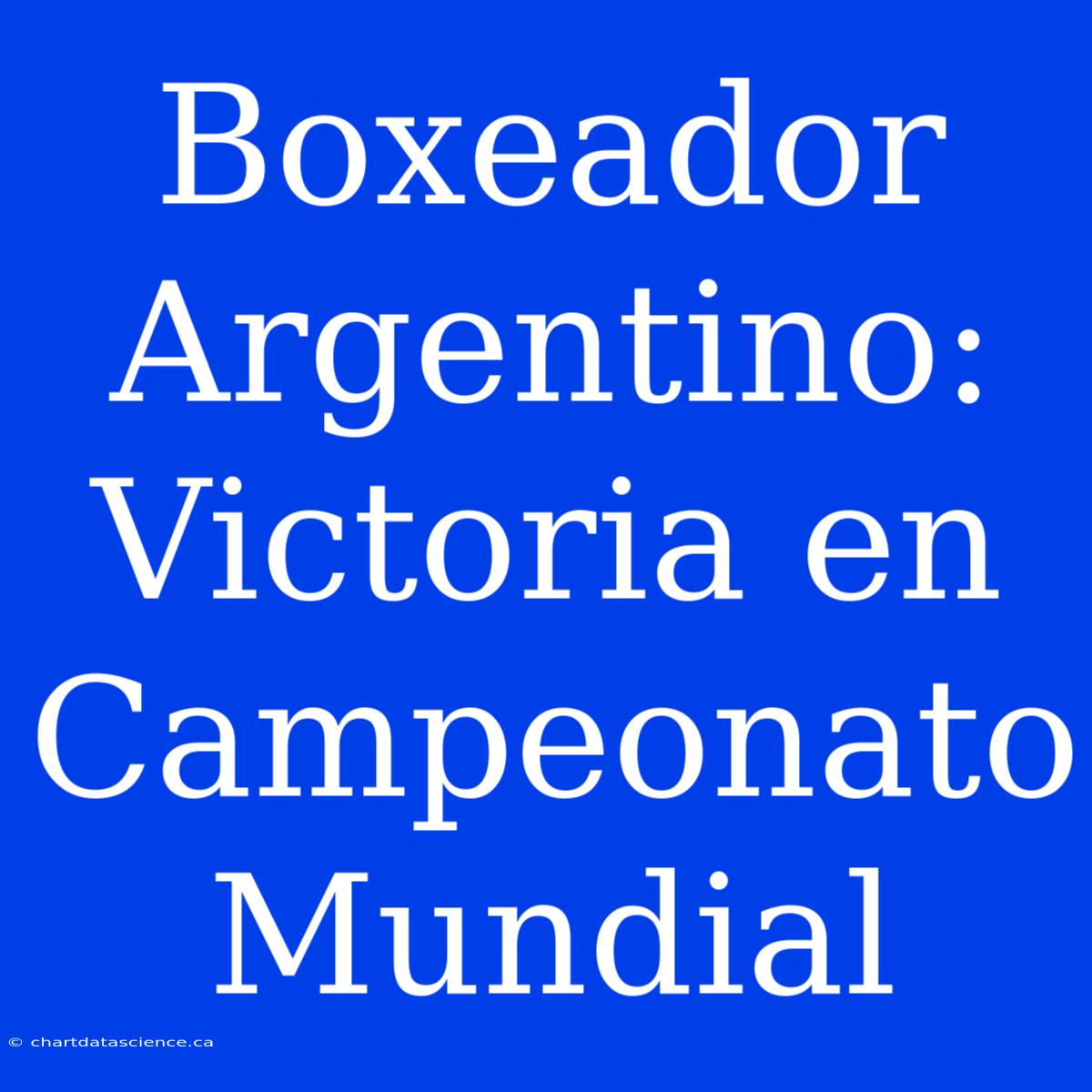 Boxeador Argentino: Victoria En Campeonato Mundial