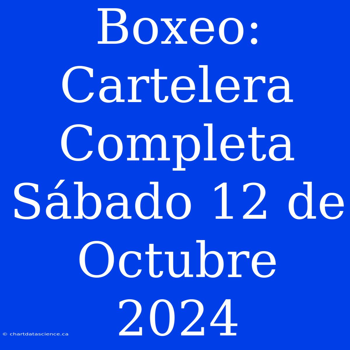 Boxeo: Cartelera Completa Sábado 12 De Octubre 2024