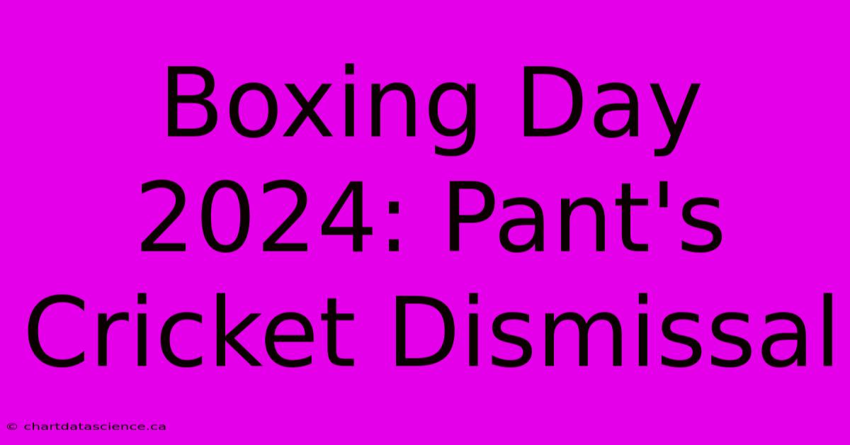 Boxing Day 2024: Pant's Cricket Dismissal