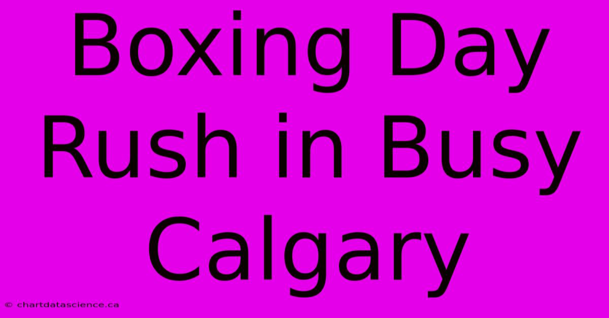 Boxing Day Rush In Busy Calgary