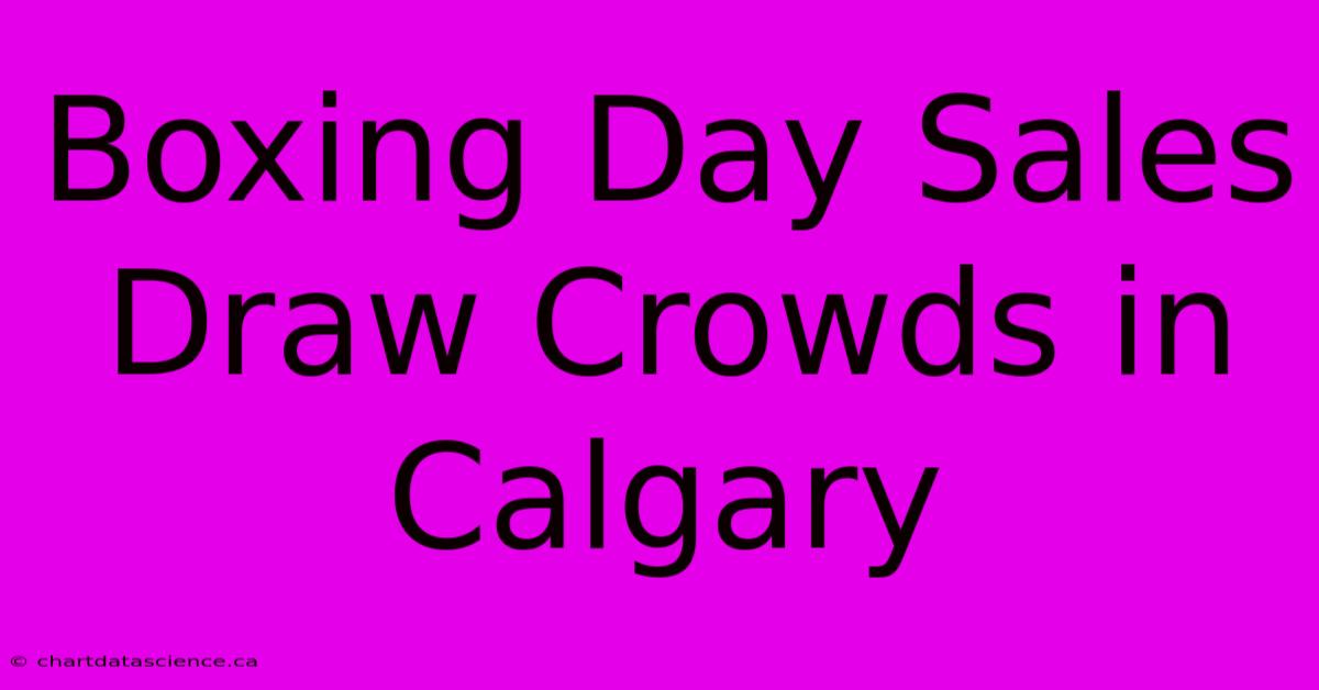 Boxing Day Sales Draw Crowds In Calgary